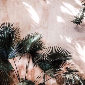 Meet your Posher, Jae